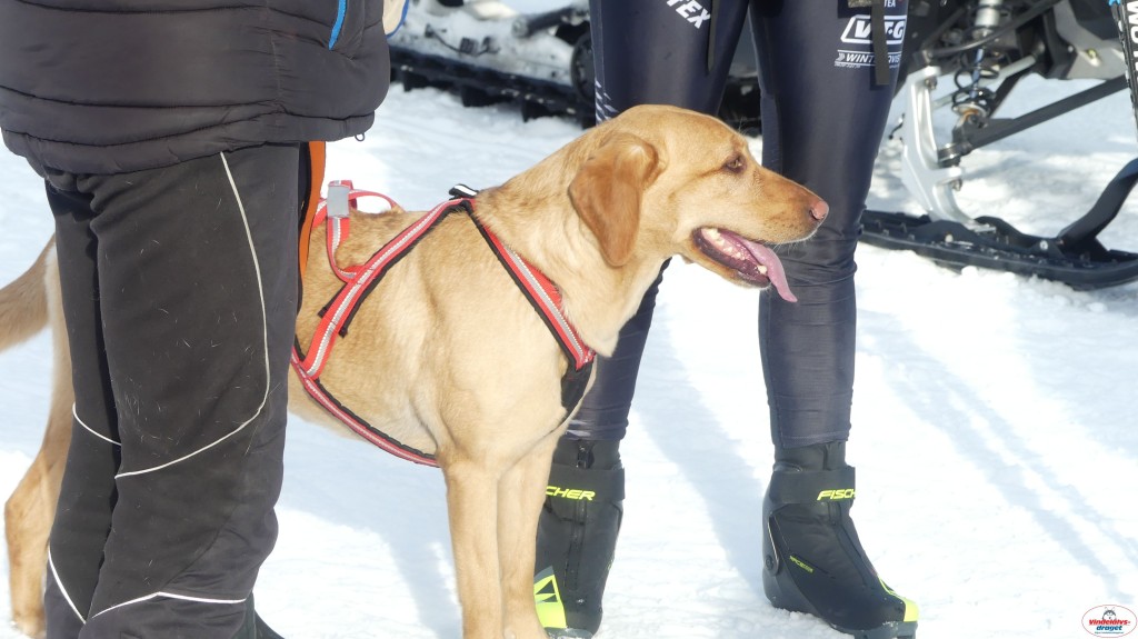 P1090007_resultat.jpg