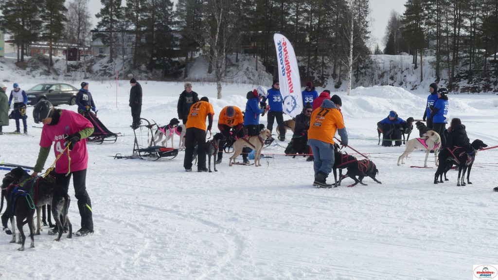 P1090029_resultat.jpg