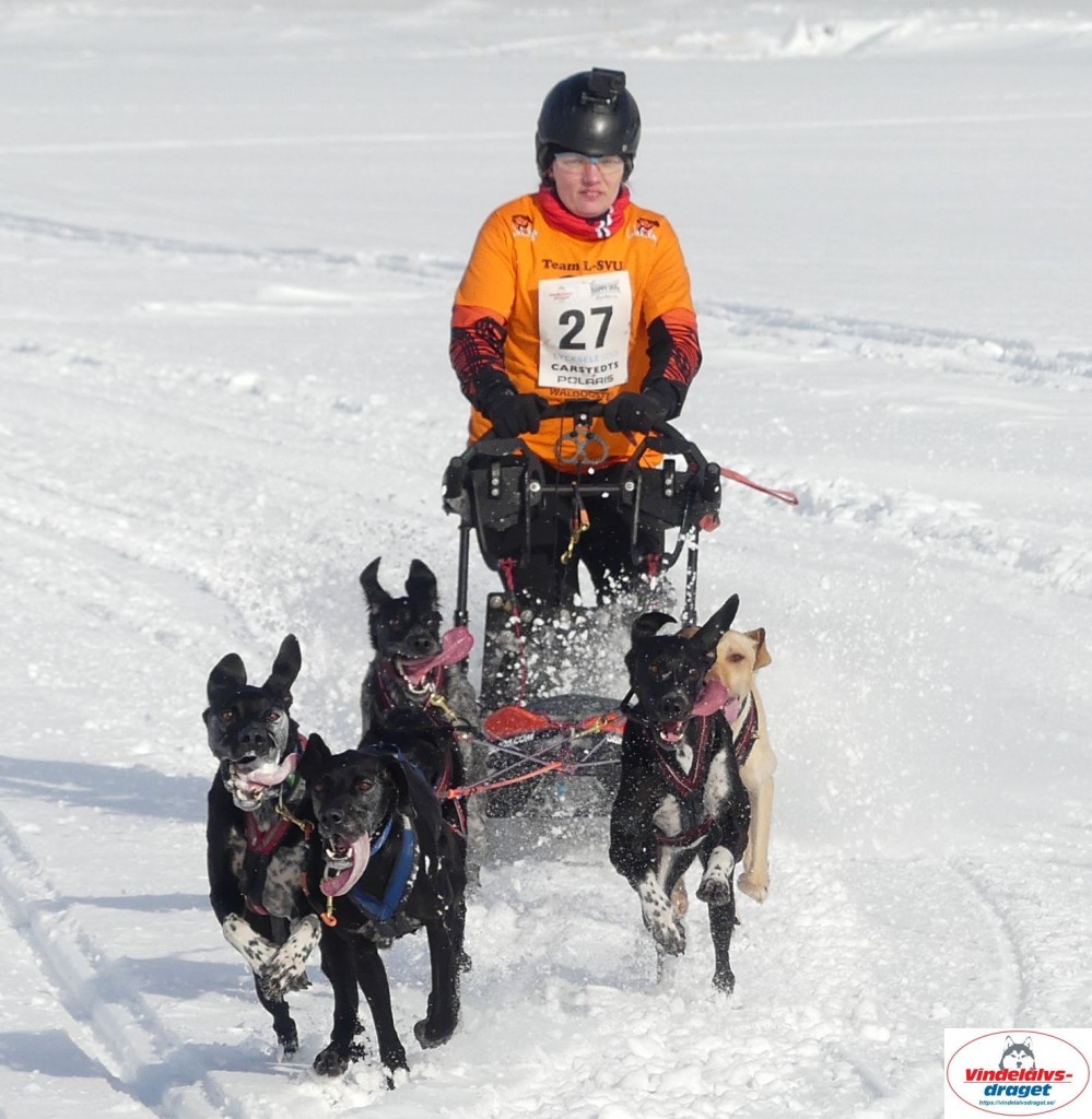 P1090040_cr_resultat.jpg
