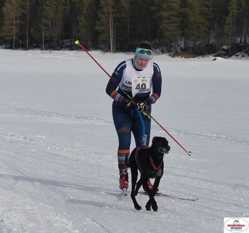 P1090058_cr_resultat.jpg