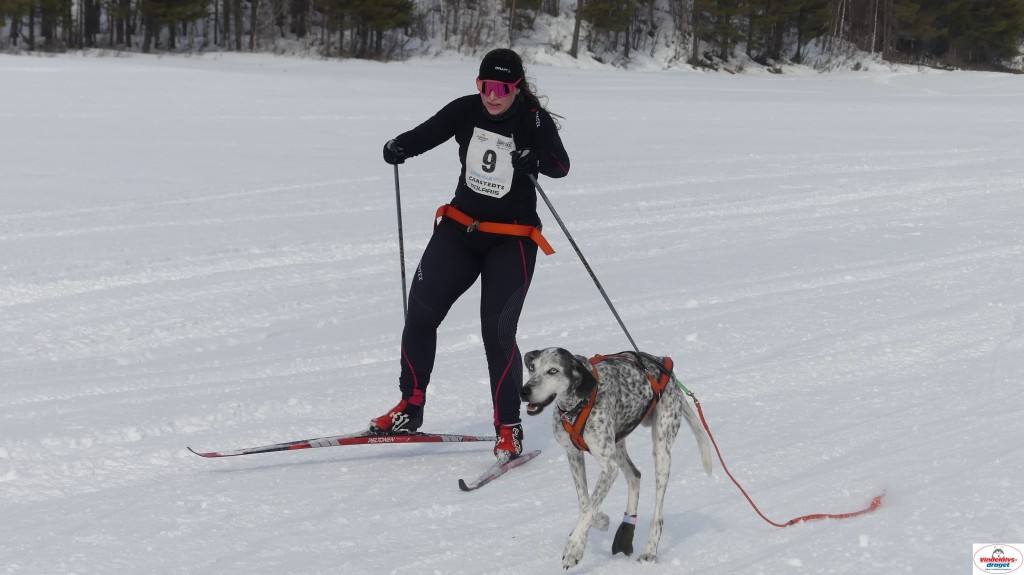 P1090063_resultat.jpg