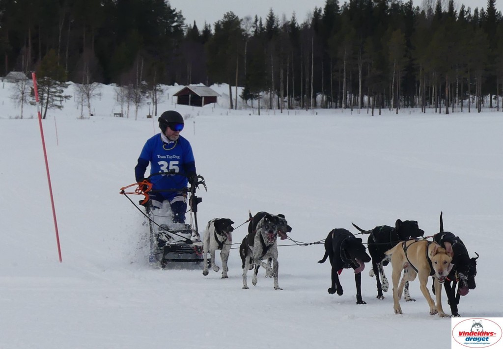 P1090073_cr_resultat.jpg