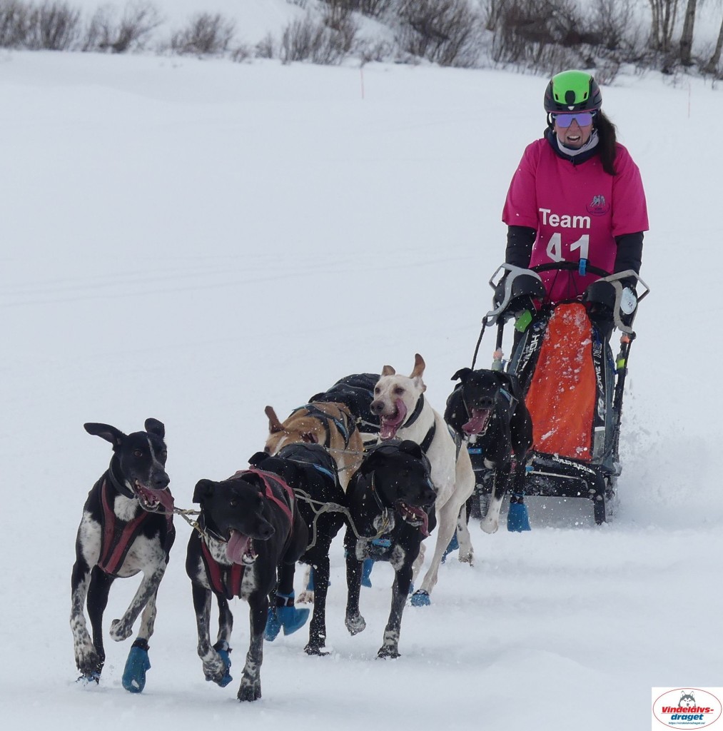 P1090075_cr_resultat.jpg