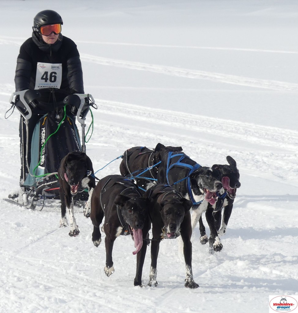 P1090076_cr_resultat.jpg