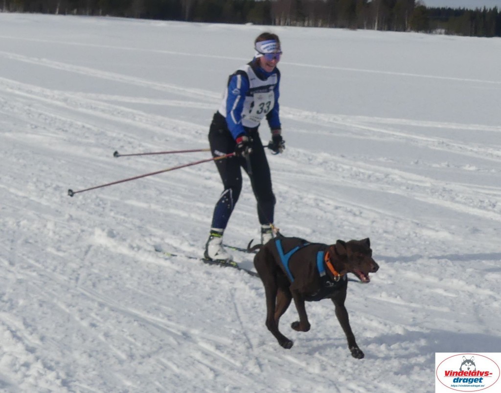P1090080_cr_resultat.jpg
