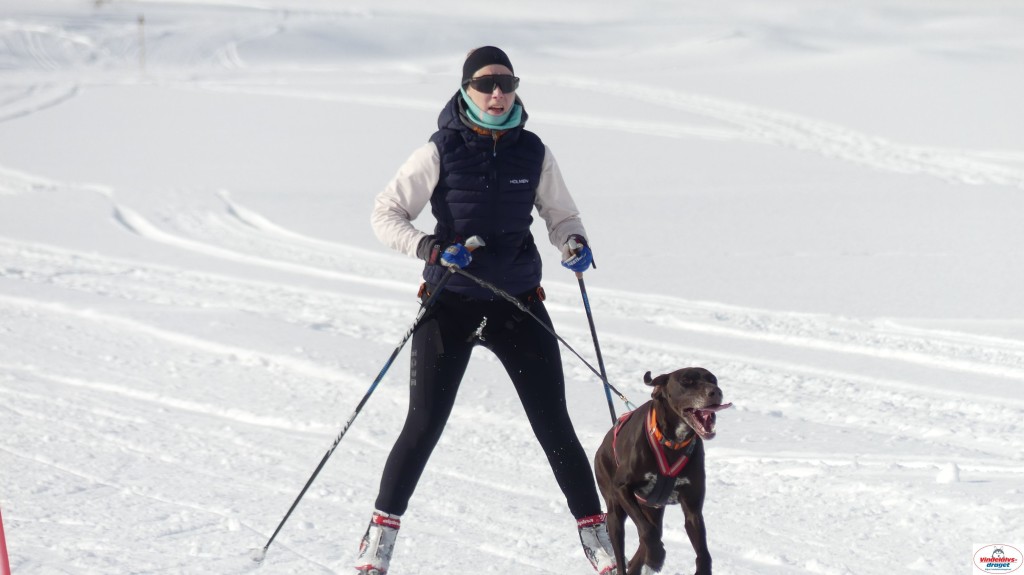 P1090083_resultat.jpg