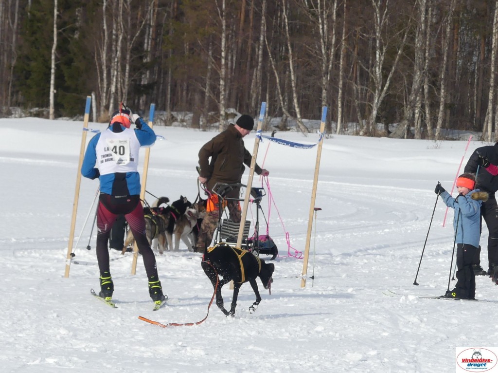 P1090088_cr_resultat.jpg
