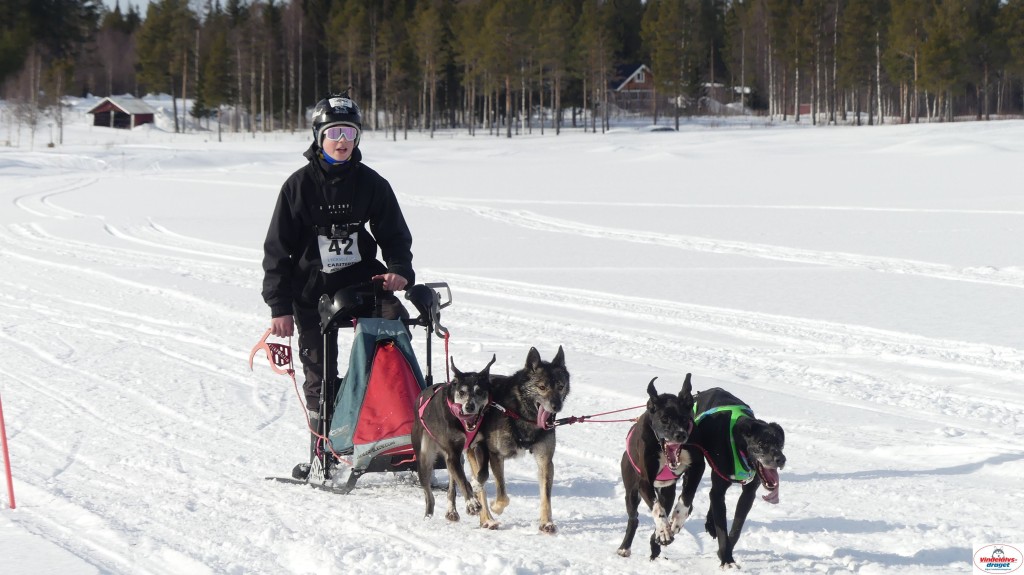 P1090092_resultat.jpg