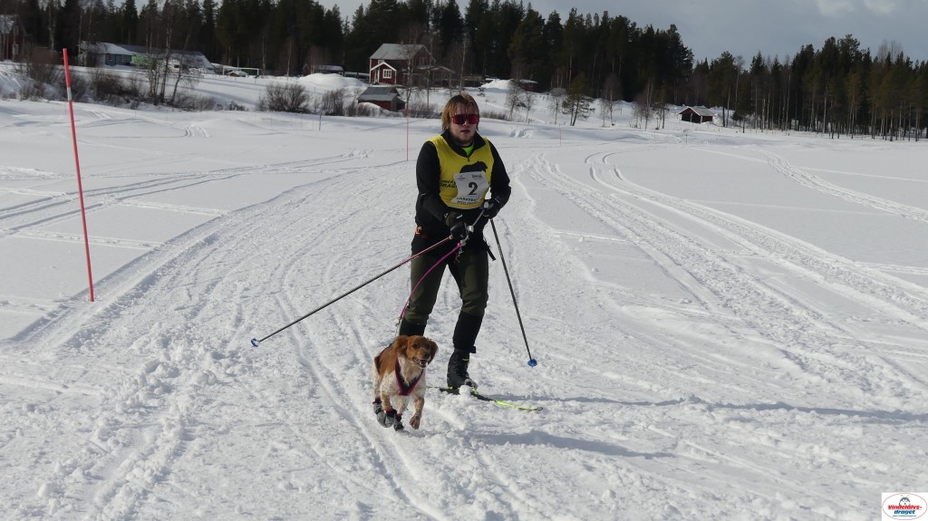 P1090094_resultat.jpg