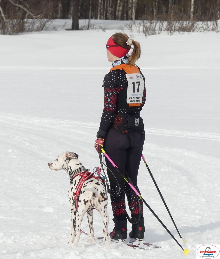 P1090099_cr_resultat.jpg
