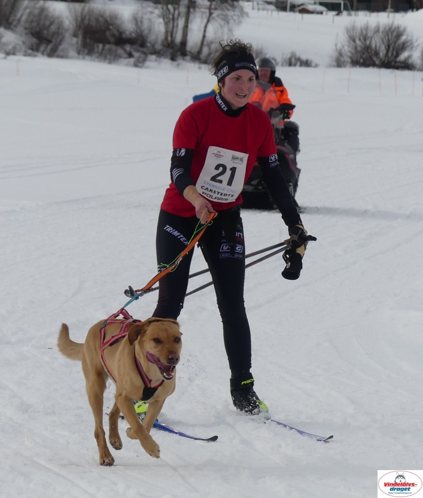 P1090100_cr_resultat.jpg