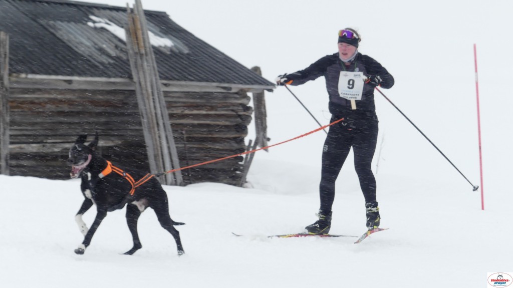 P1090110_resultat.jpg