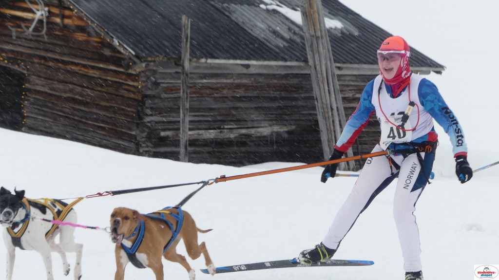 P1090112_resultat.jpg