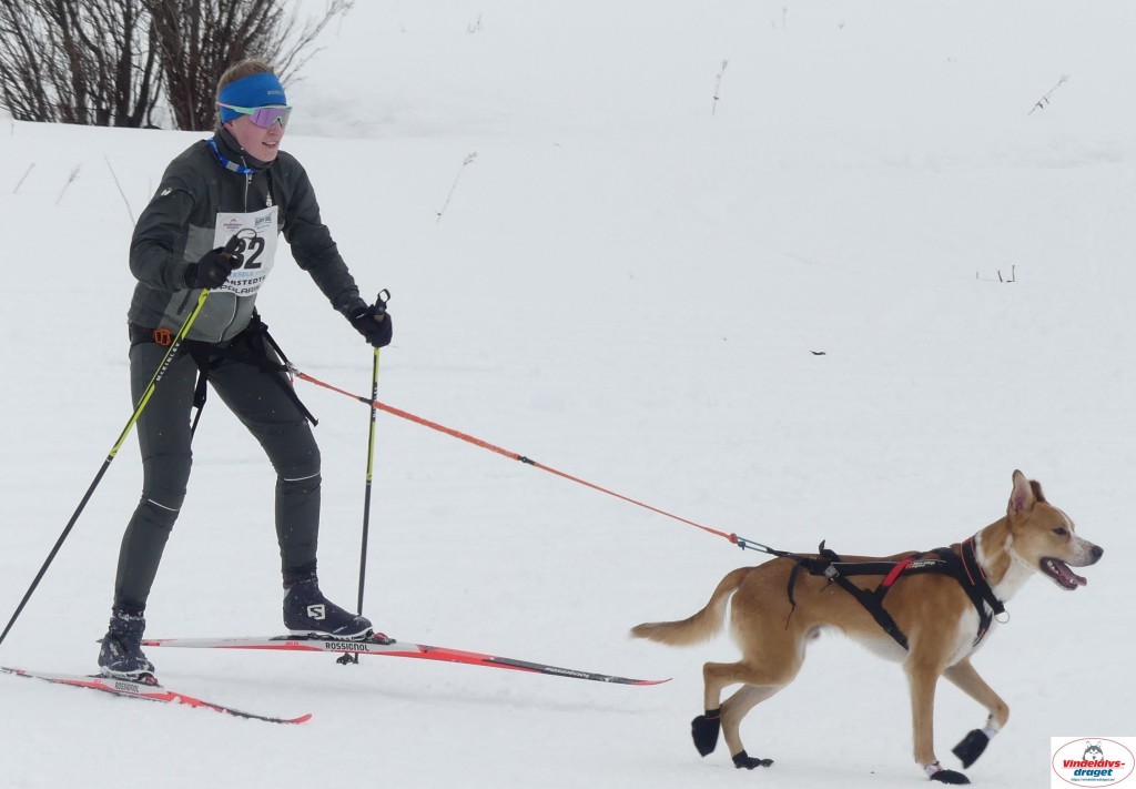 P1090115_cr_resultat.jpg