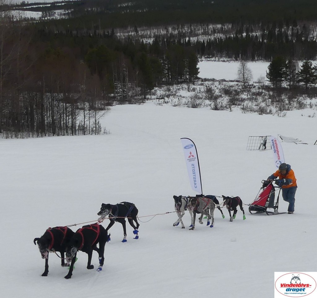 P1090123_cr_resultat.jpg