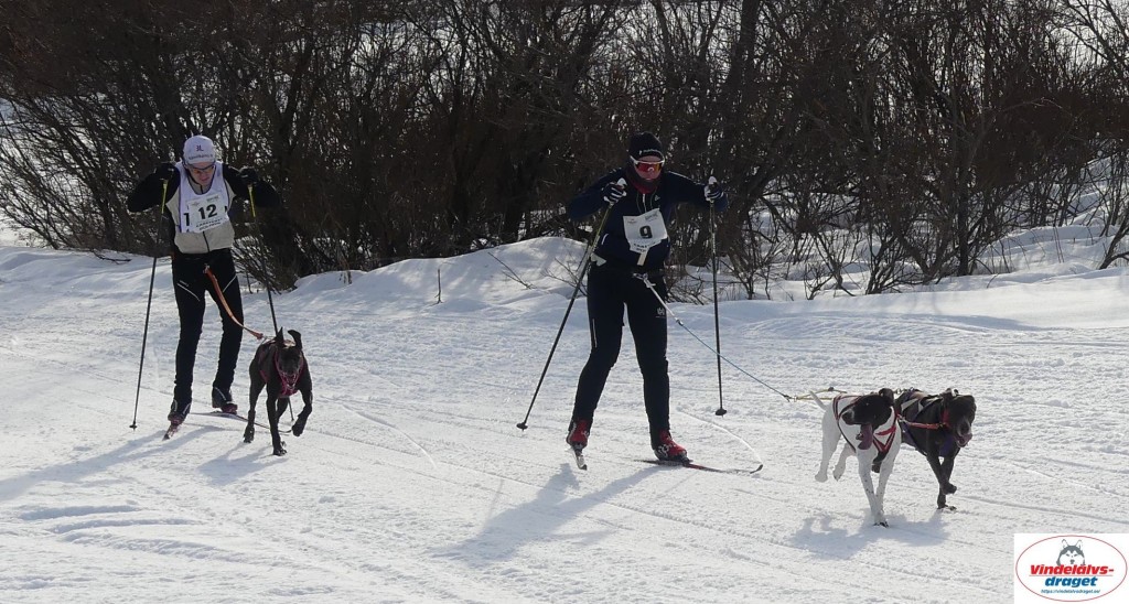 P1090139_cr_resultat.jpg