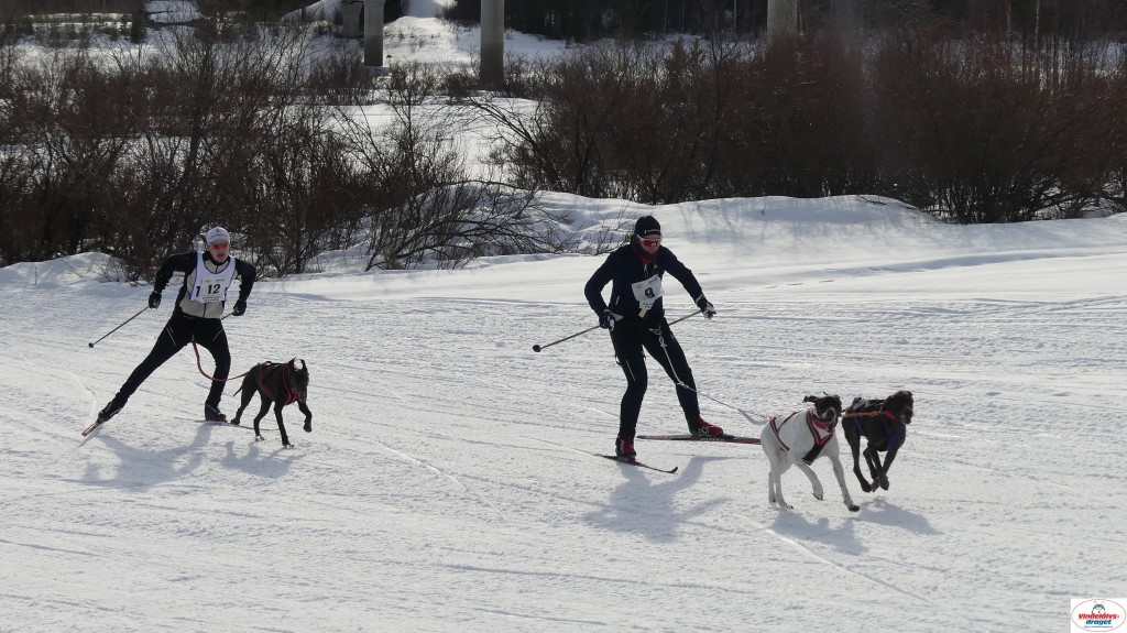 P1090140_resultat.jpg