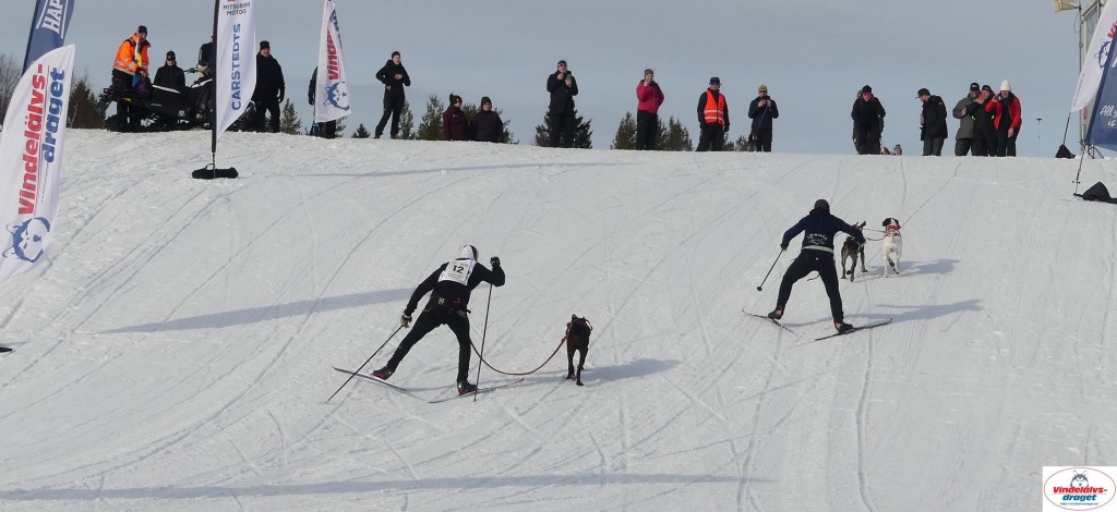 P1090141_cr_resultat.jpg