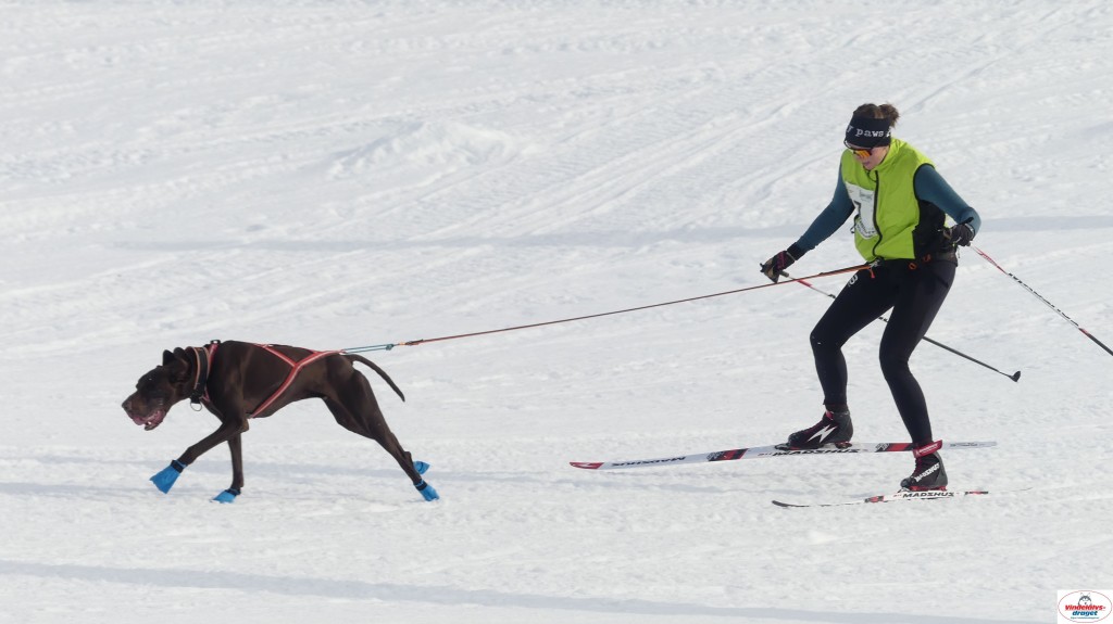 P1090145_resultat.jpg