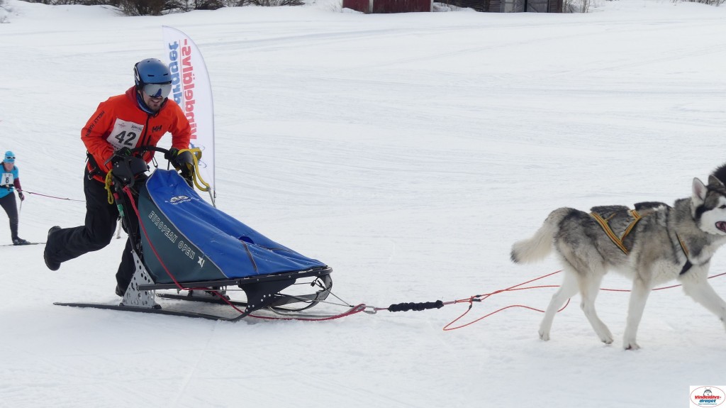 P1090146_resultat.jpg