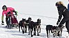 P1090039_cr_resultat.jpg