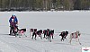P1090048_cr_resultat.jpg