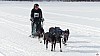 P1090076_resultat.jpg