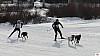 P1090140_resultat.jpg