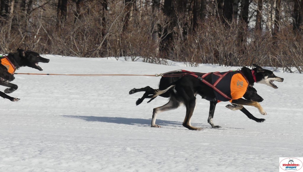 P1090162_cr_resultat.jpg