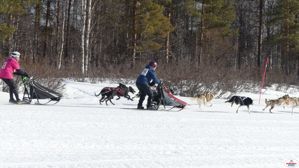 P1090164_resultat.jpg