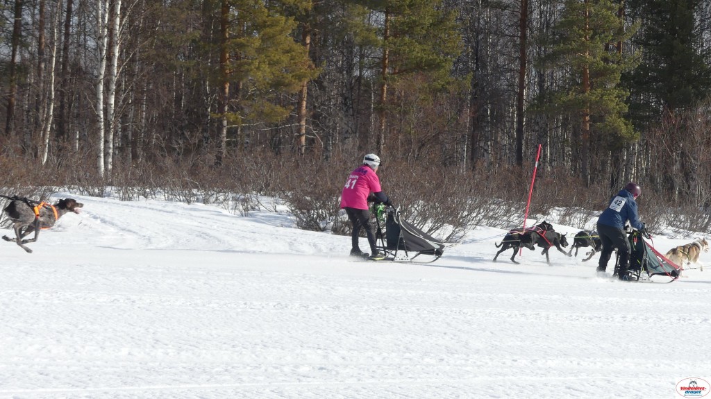 P1090165_resultat.jpg