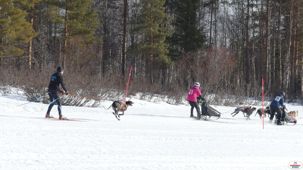 P1090166_resultat.jpg