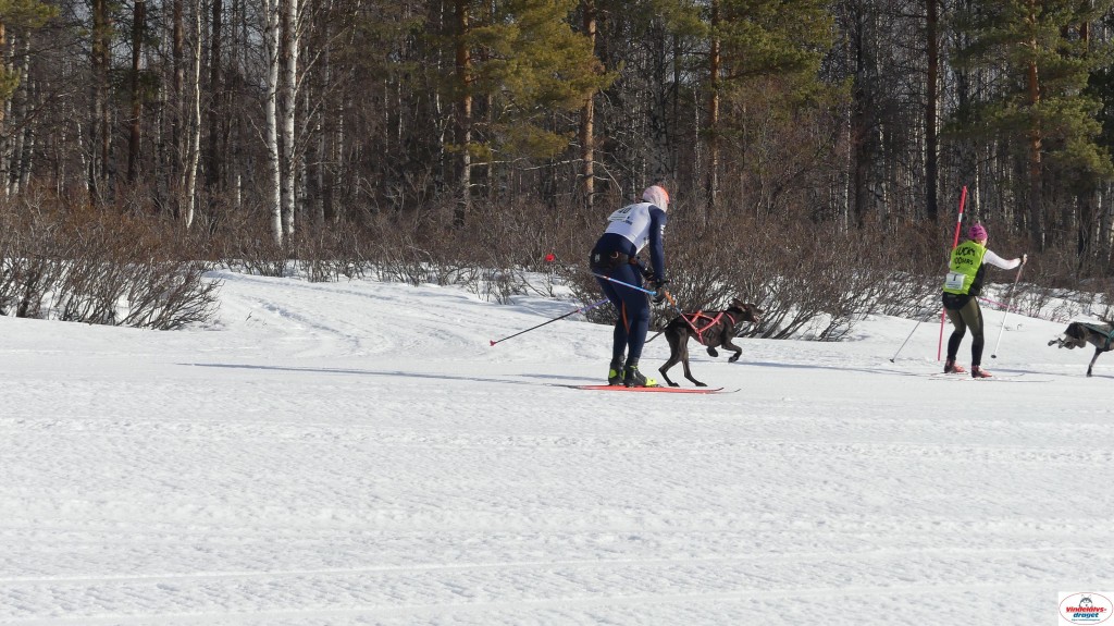 P1090168_resultat.jpg