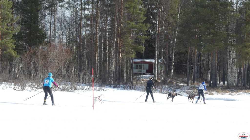 P1090171_resultat.jpg