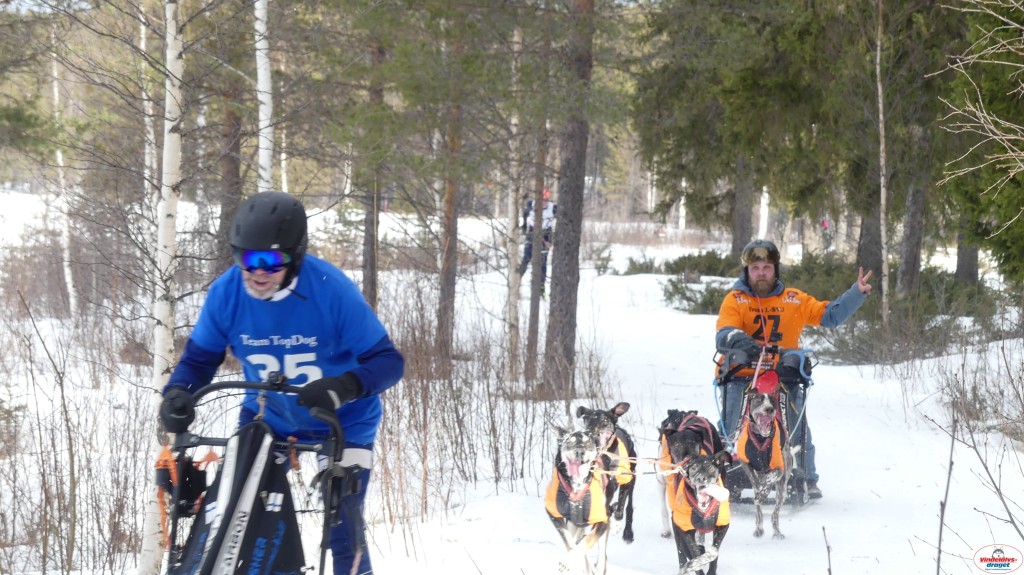P1090176_resultat.jpg