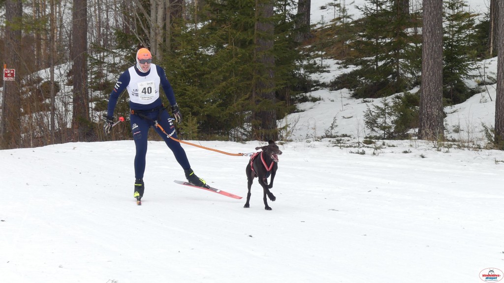P1090194_resultat.jpg