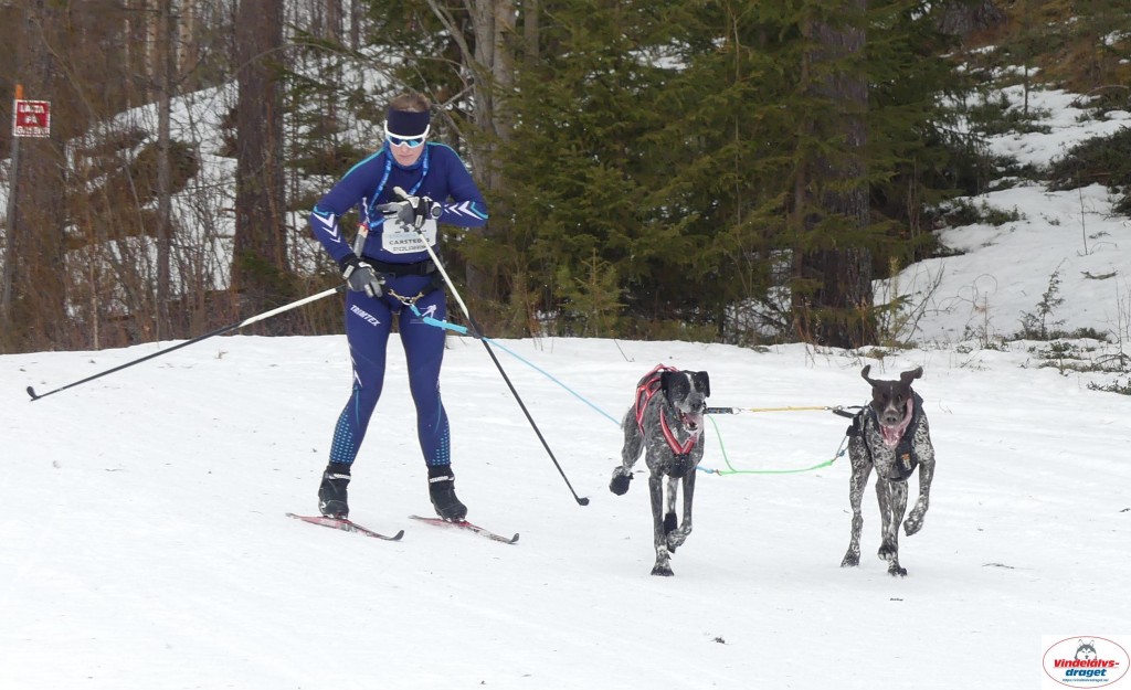 P1090195_cr_resultat.jpg