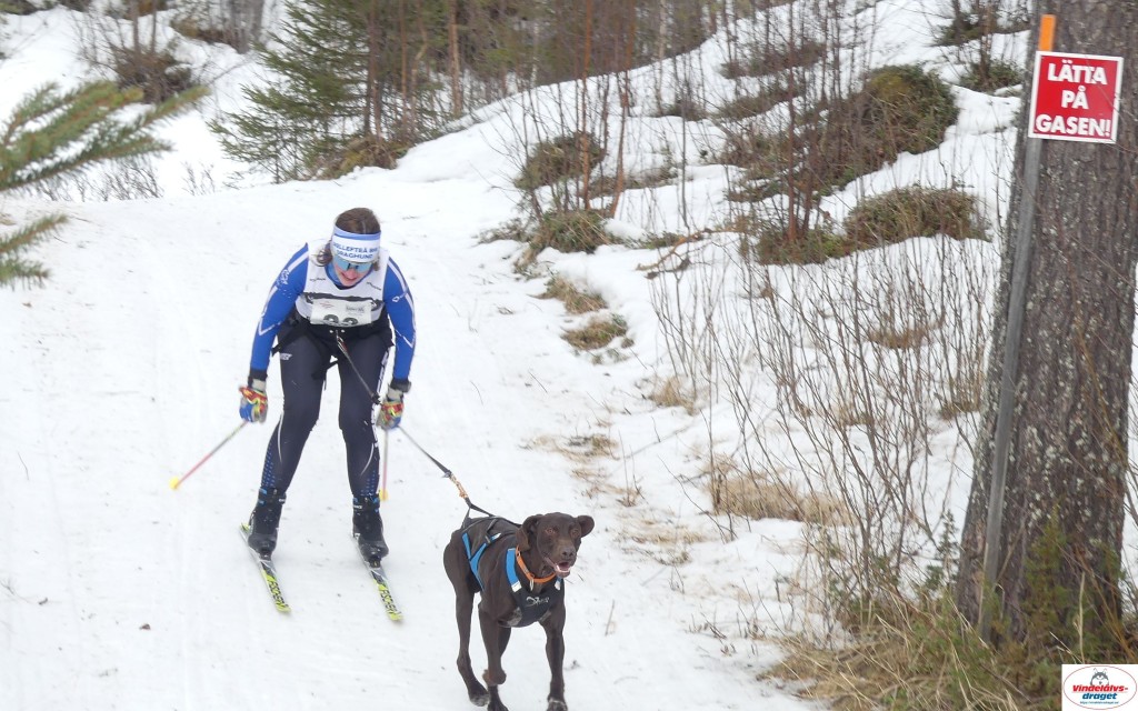 P1090198_cr_resultat.jpg
