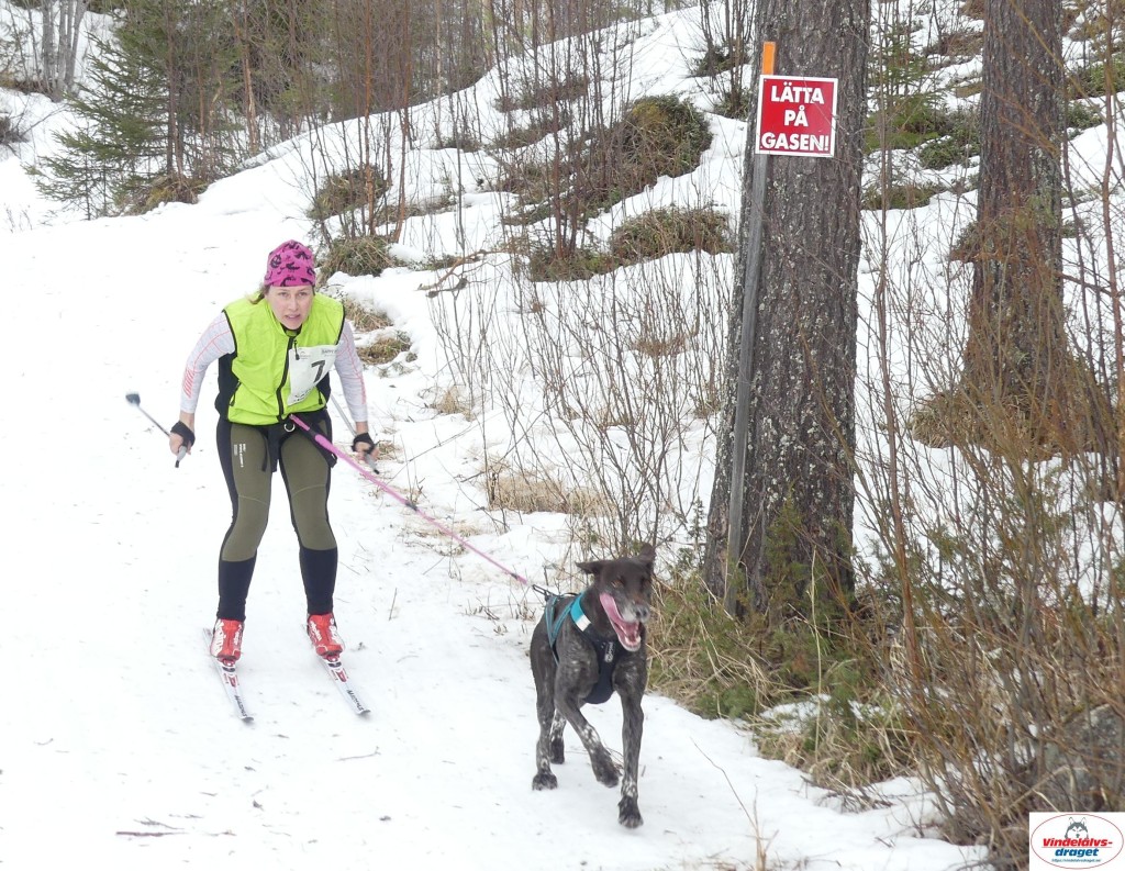 P1090201_cr_resultat.jpg