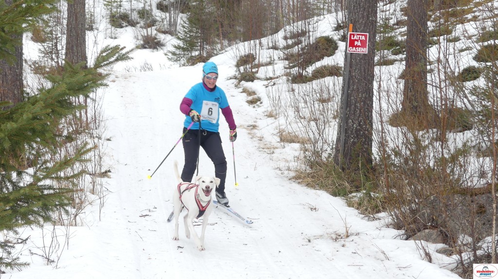 P1090205_resultat.jpg