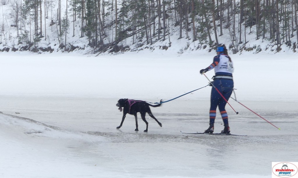 P1090215_cr_resultat.jpg