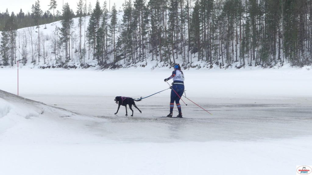 P1090215_resultat.jpg