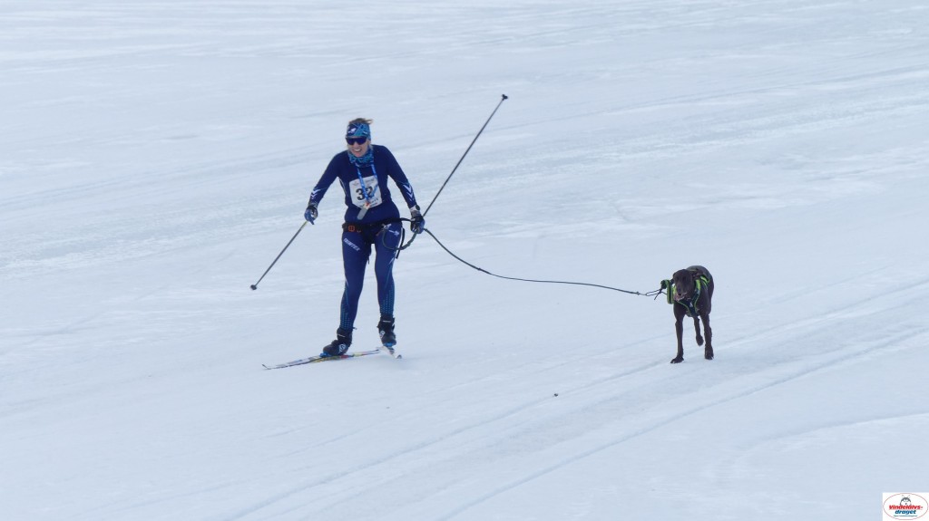 P1090226_resultat.jpg