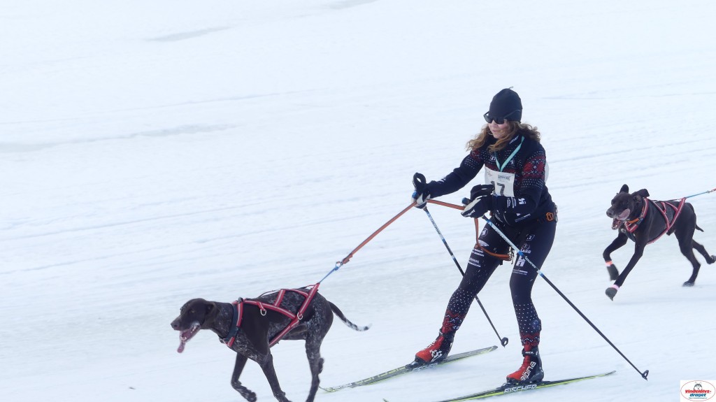 P1090231_resultat.jpg