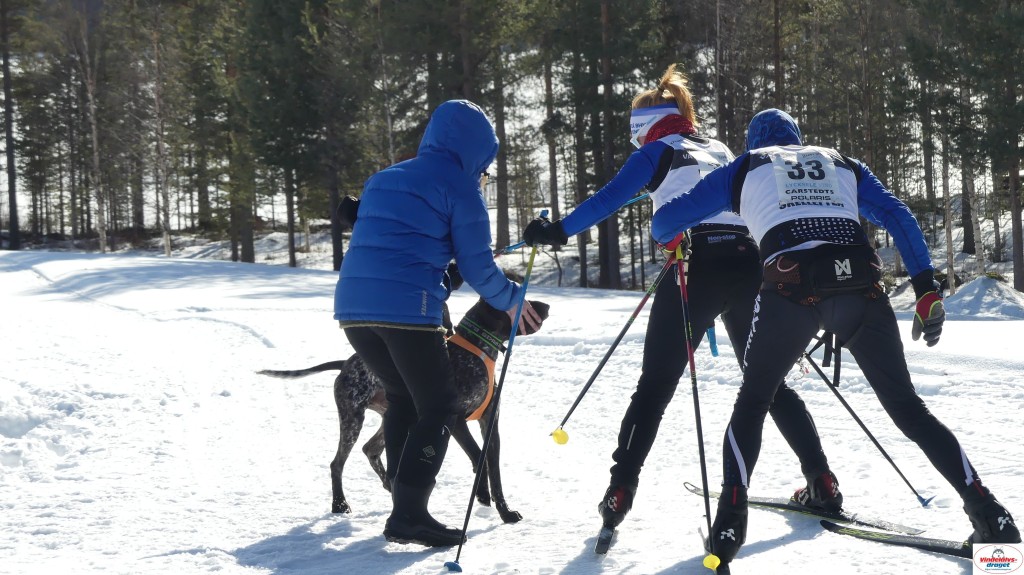 P1090252_resultat.jpg