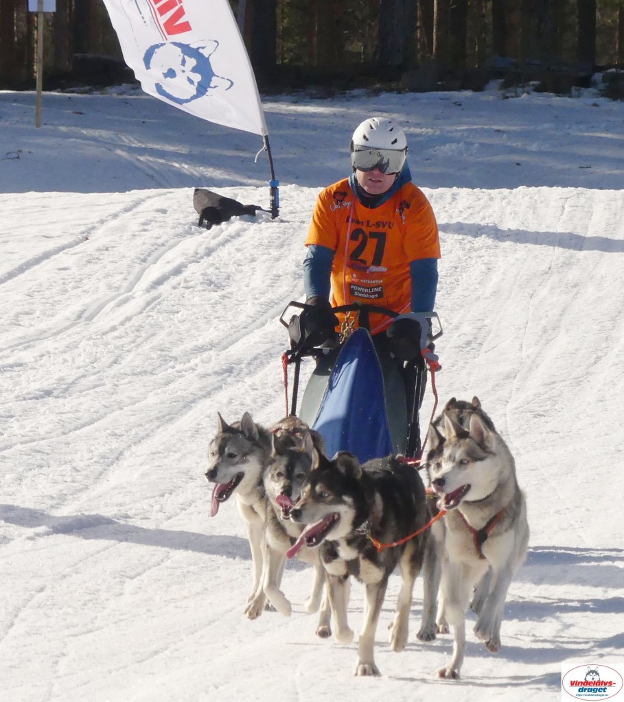 P1090267_cr_resultat.jpg