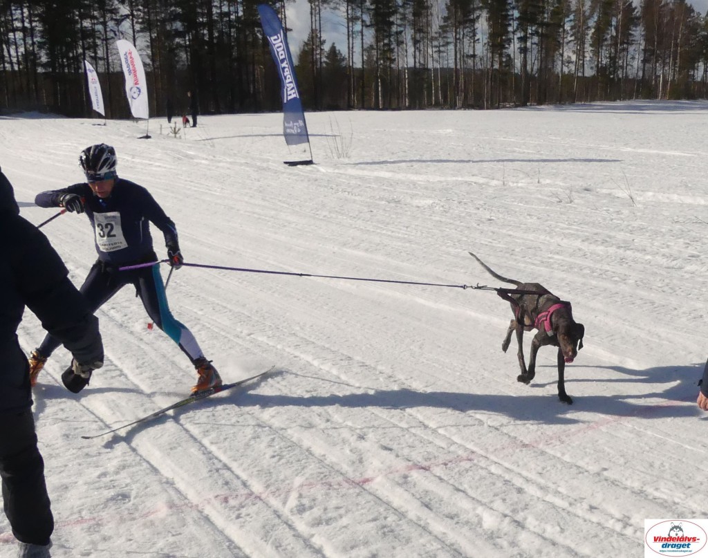 P1090283_cr_resultat.jpg