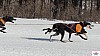 P1090162_cr_resultat.jpg P1090162_cr_resultat.jpg
