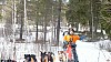 P1090177_resultat.jpg P1090177_resultat.jpg