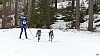 P1090195_resultat.jpg P1090195_resultat.jpg
